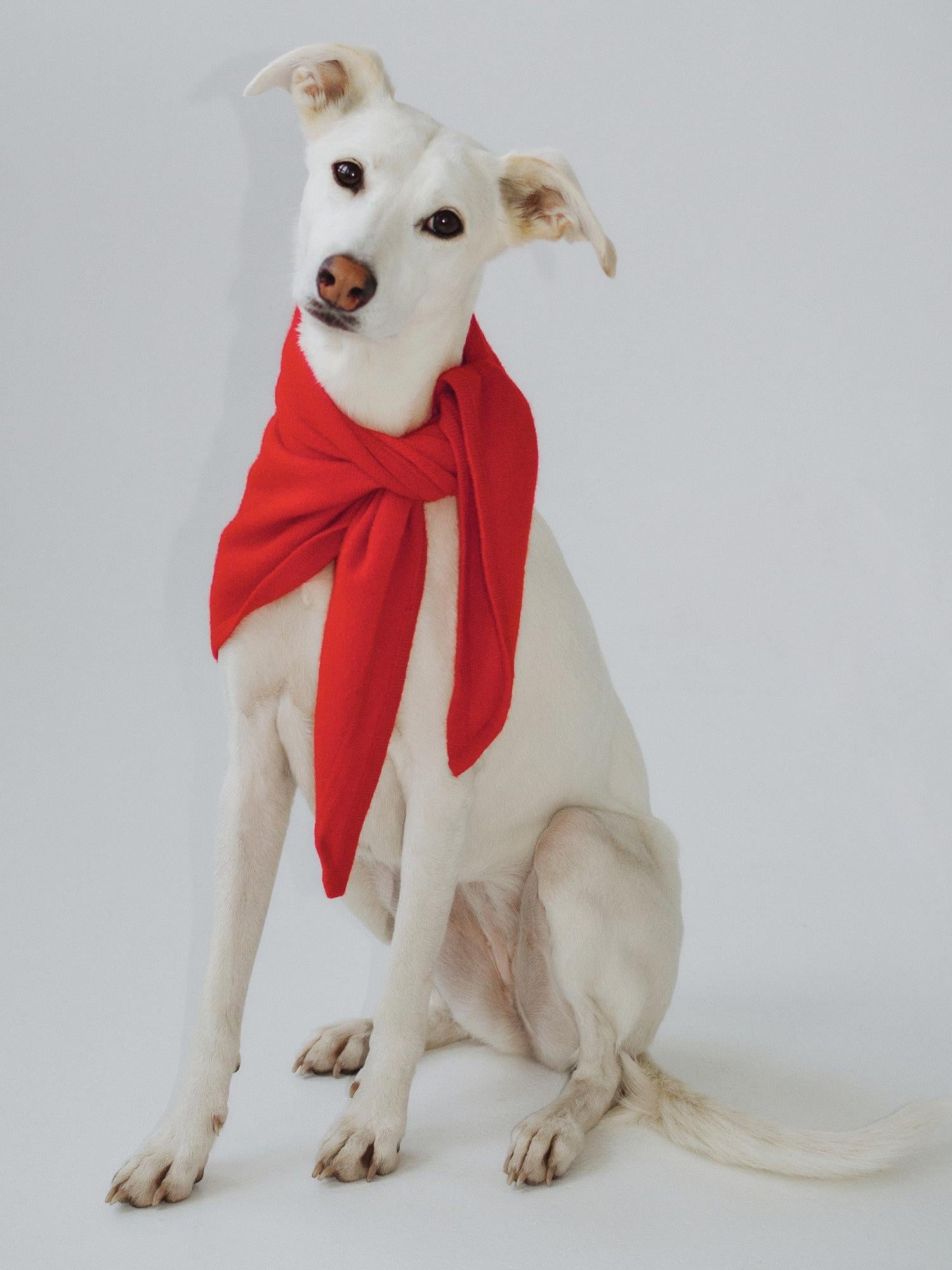 Kaszmirowy Trójkątny Szal / Bandana — Mille × Bébé