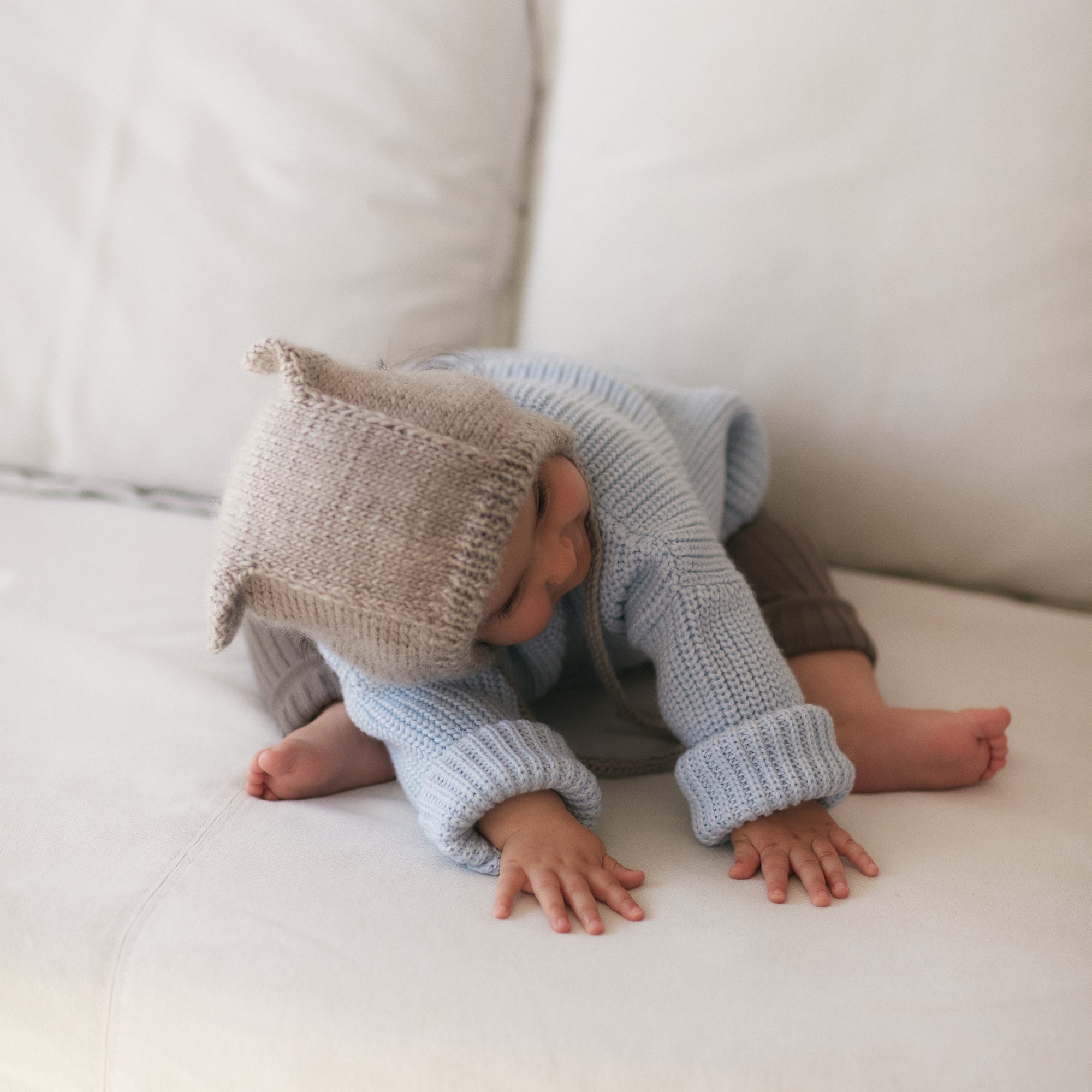 Bonetka Miau 'Cosy Merino' II gatunek